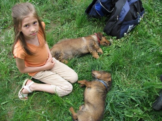 Kattints ide a teljes kép megtekintéséhez