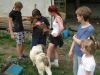 Fájlnév : foci2009_13.jpg
Fájlméret : 265KB
Méretek : 1024x768
Hozzáadás dátuma : 2009 Május 19. foci2009_13.jpg