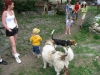 Fájlnév : foci2009_16.jpg
Fájlméret : 360KB
Méretek : 1024x768
Hozzáadás dátuma : 2009 Május 19. foci2009_16.jpg