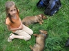 Fájlnév : foci2009_20.jpg
Fájlméret : 407KB
Méretek : 1024x768
Hozzáadás dátuma : 2009 Május 19. foci2009_20.jpg