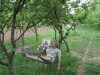 Fájlnév : foci2009_29.jpg
Fájlméret : 428KB
Méretek : 1024x768
Hozzáadás dátuma : 2009 Május 19. foci2009_29.jpg